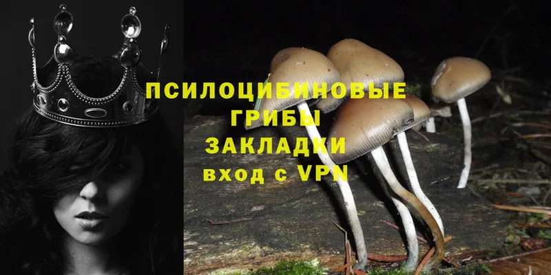 Псилоцибиновые грибы Magic Shrooms Верхнеуральск